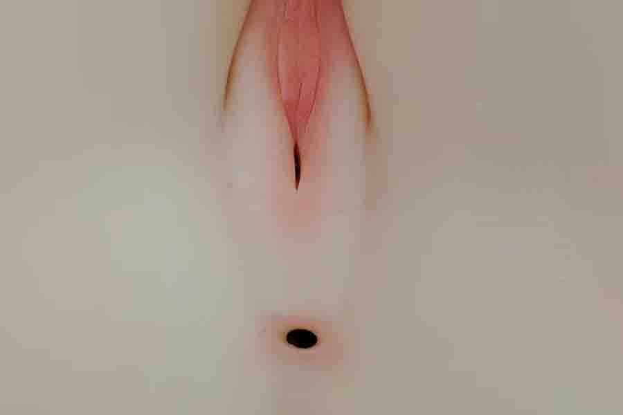 single channel