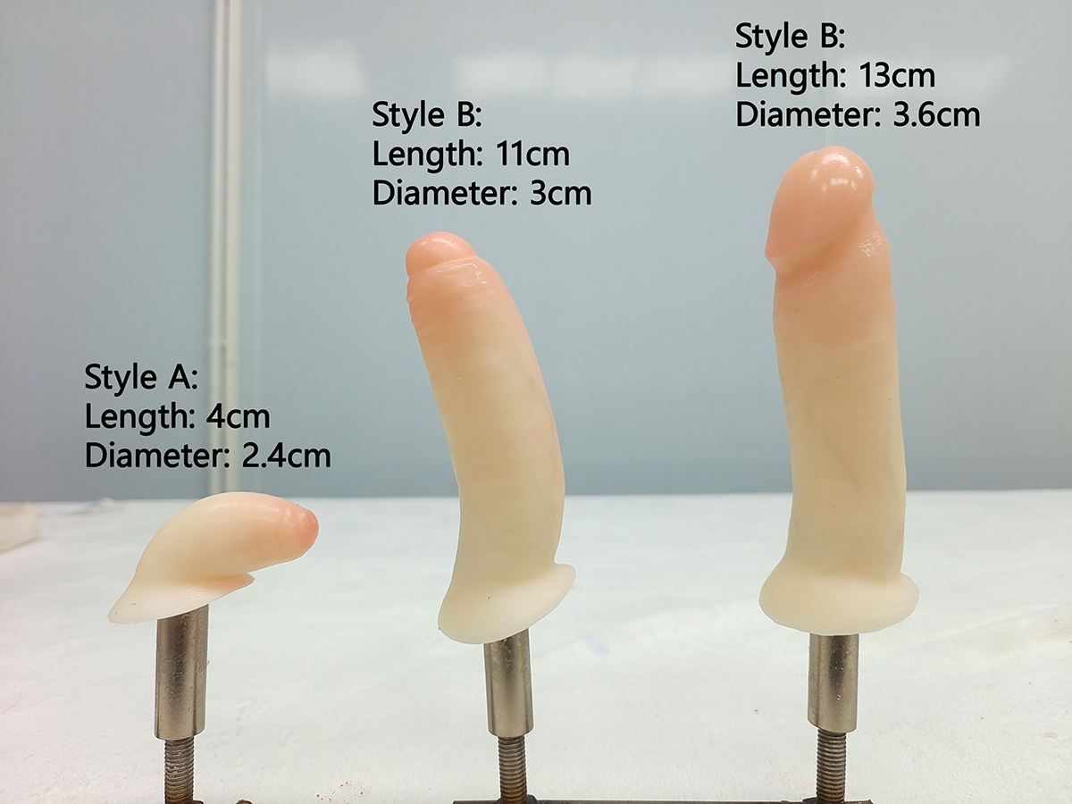 penis size